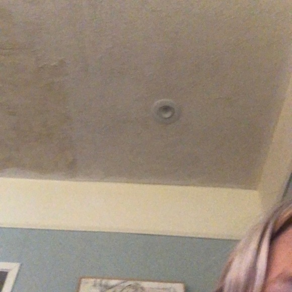 Meet your Posher, Elaina - Picture 1 of 1